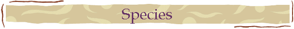 Species