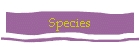 Species